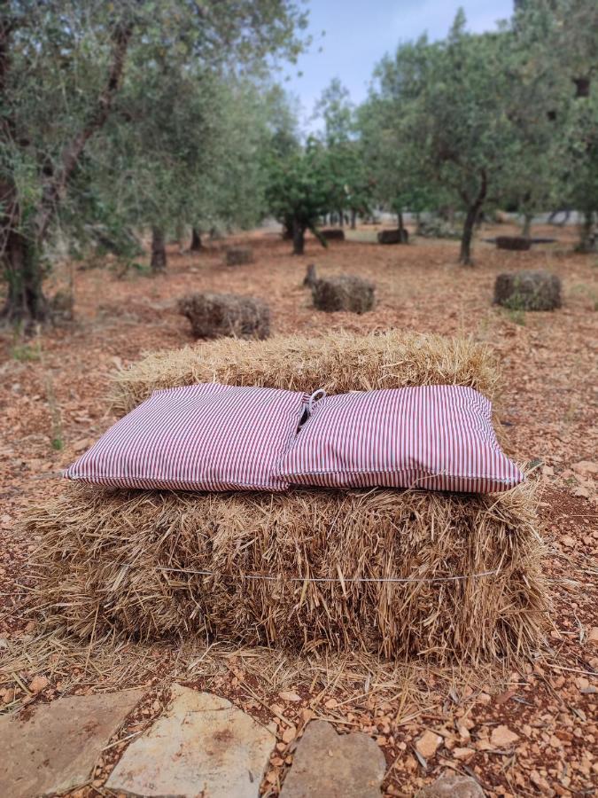 Porta Sugli Ulivi Βίλα Monopoli Εξωτερικό φωτογραφία